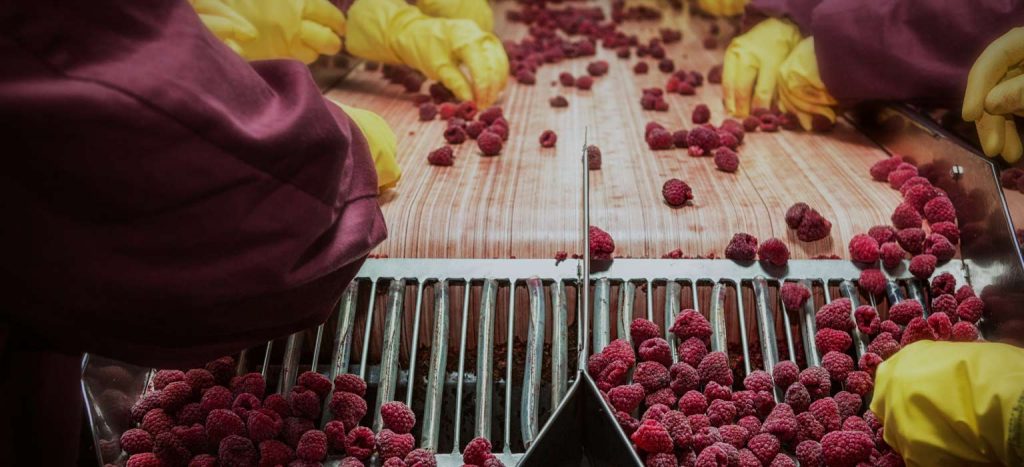 Risk Ranking of Food Safety Hazards Risk Ranking of Food Safety Hazards