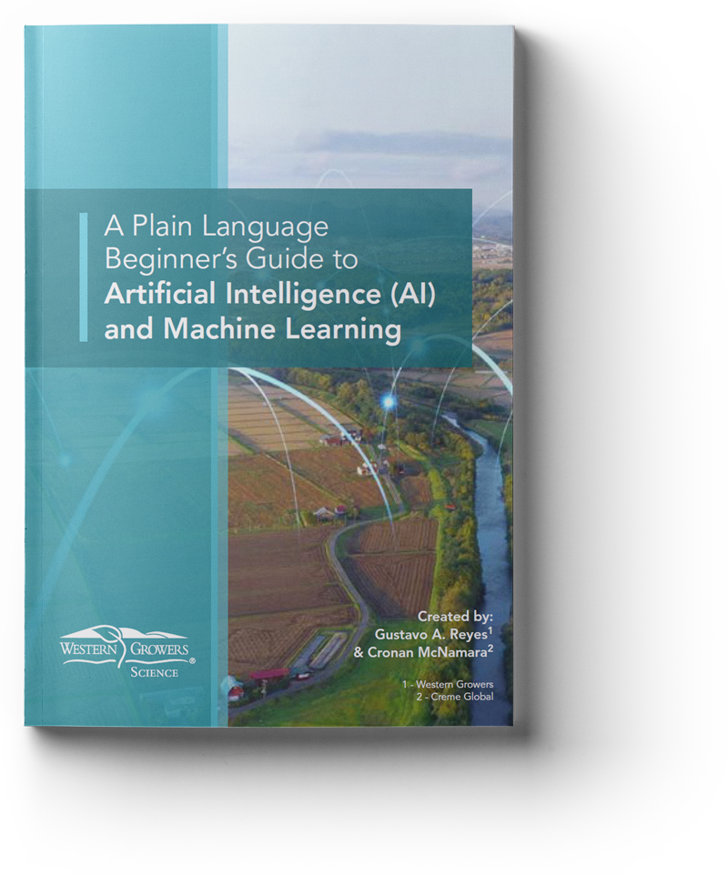 WG-A Plain Language Beginner's Guide to Artificial Intelligence (Al) and Machine Learning