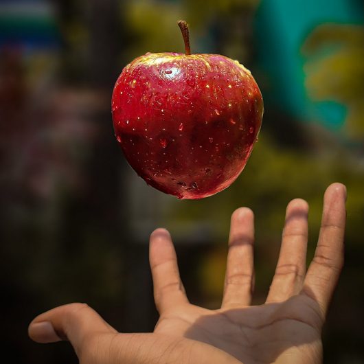 bithin-raj–TW6icOmR-A-unsplash bithin-raj--TW6icOmR-A-unsplash