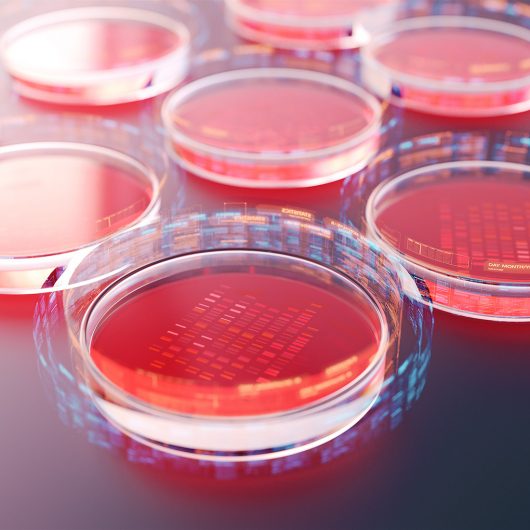 Red petri dishes with samples for DNA sequencing,3d rendering.