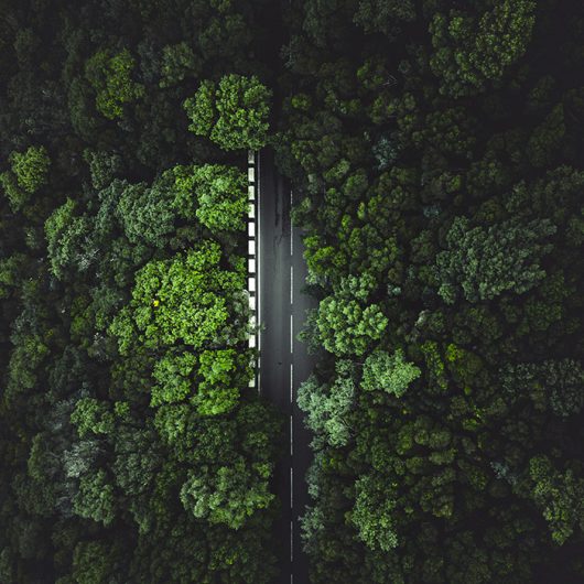 taneli-lahtinen-bJiisZmEB2M-unsplash taneli-lahtinen-bJiisZmEB2M-unsplash